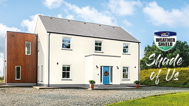 Dulux Weathershield - Shade of Us