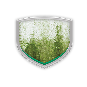 Weathershield ultimate durability